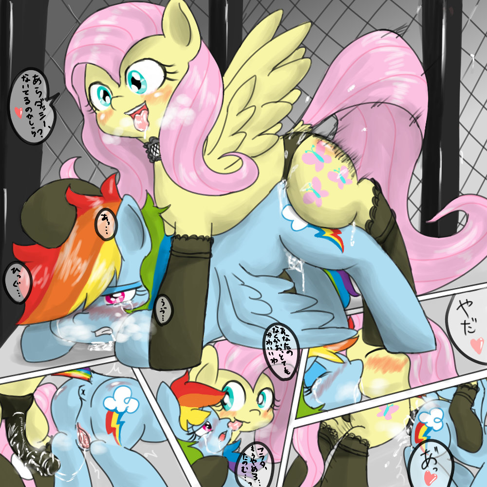 Rule34 – If it exists, there is porn of it / wonton soup, fluttershy (mlp), rainbow dash (mlp) / 244039