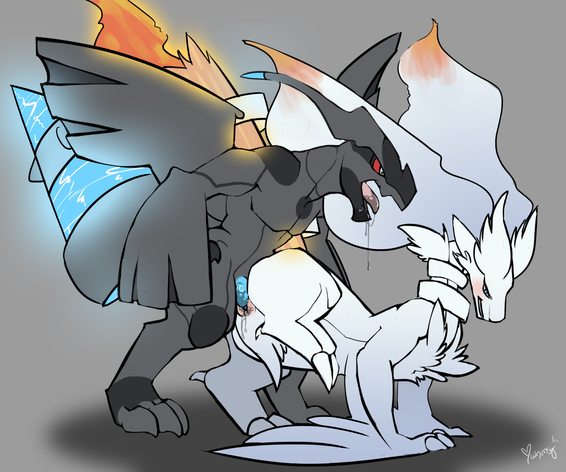 Rule34 – If it exists, there is porn of it / whimsydreams, legendary pokemon, reshiram, zekrom / 244095