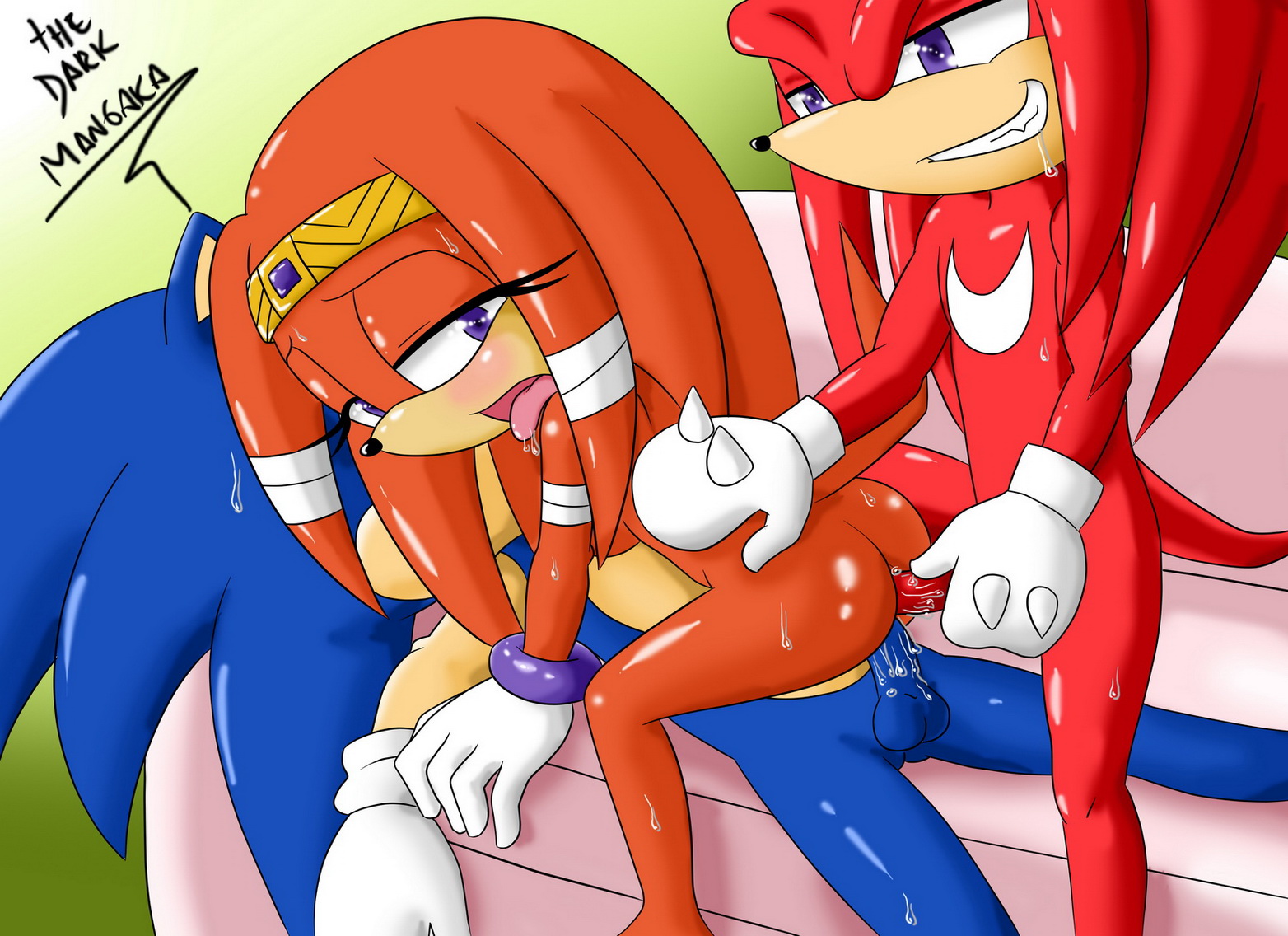 Rule34 – If it exists, there is porn of it / the dark mangaka, knuckles the echidna, sonic the hedgehog, tikal the echidna / 244267