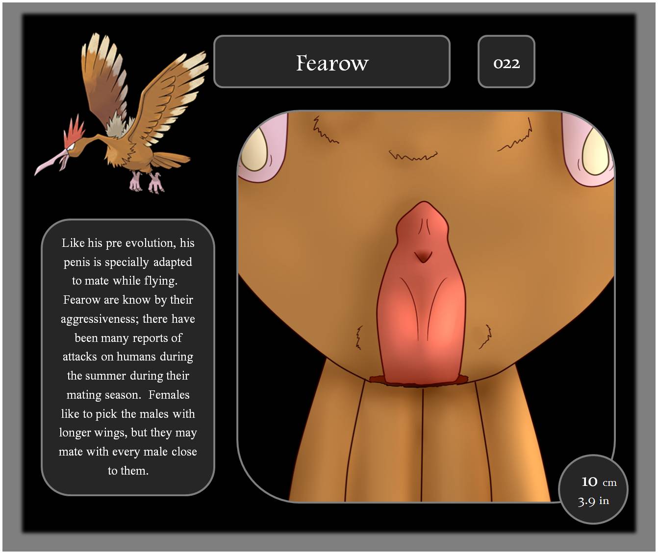 Rule34 – If it exists, there is porn of it / zekromlover, fearow / 244405