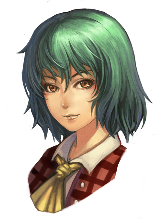 lieqi hun, kazami yuuka, touhou, bad id, bad pixiv id, 1girl, ascot, brown eyes, female focus, green hair, light smile, lips, plaid clothes, plaid vest, portrait, short hair, simple background, smile, solo, upper body, vest