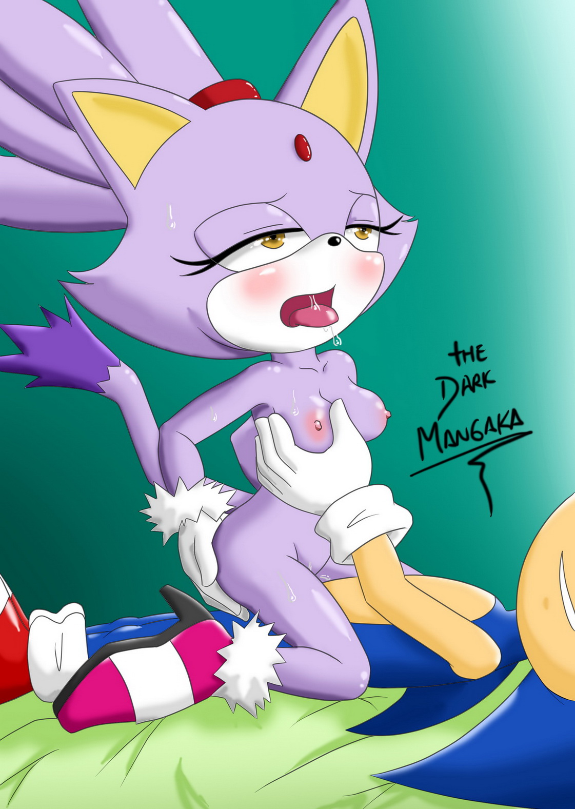 Rule34 – If it exists, there is porn of it / blaze the cat, sonic the hedgehog / 244576
