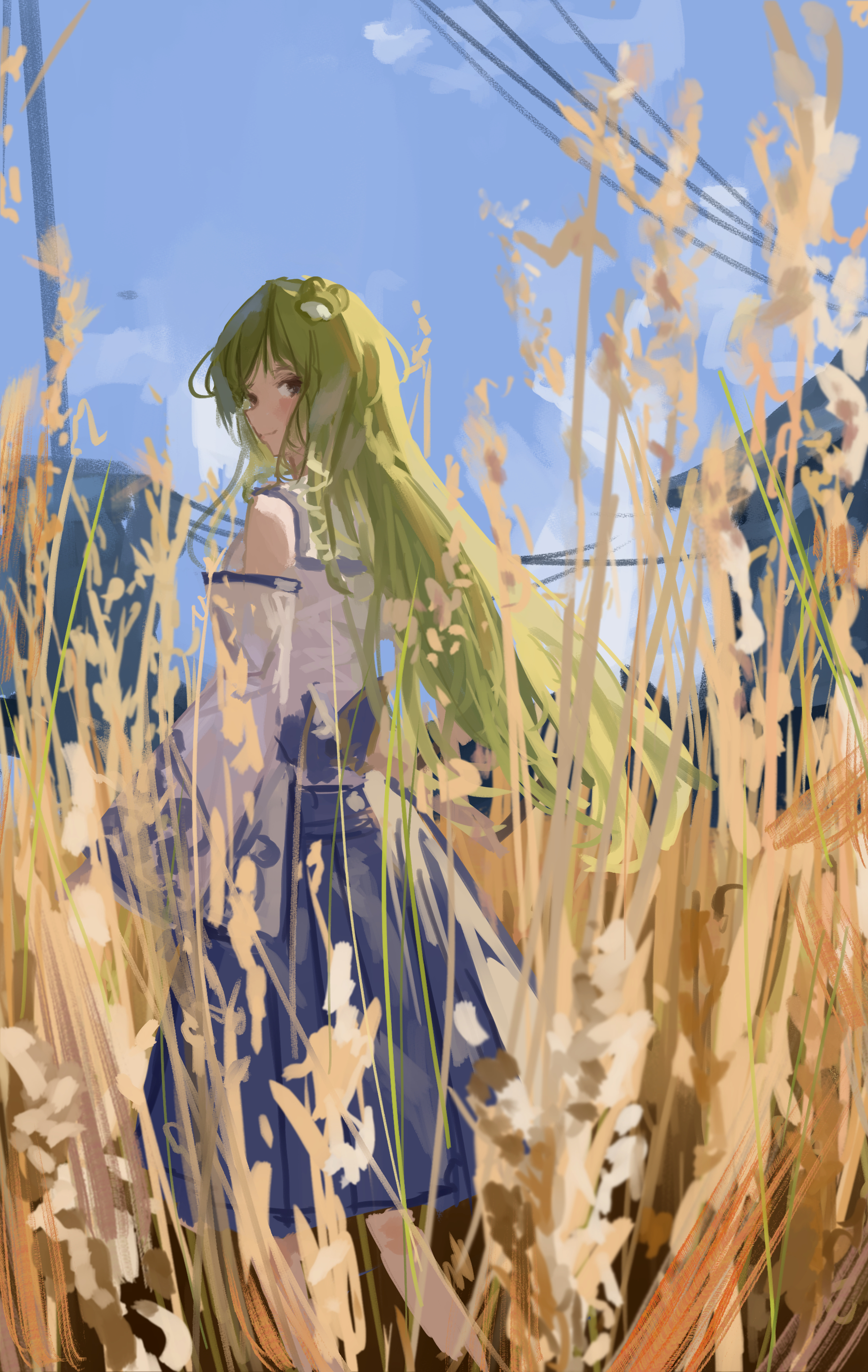 vanilla flan, kochiya sanae, touhou, absurdres, commentary request, highres, 1girl, blue skirt, blue sky, closed mouth, day, detached sleeves, frog hair ornament, green eyes, green hair, hair ornament, long hair, long sleeves, looking at viewer, looking back, outdoors, power lines, shirt, skirt, sky, sleeveless, sleeveless shirt, smile, solo, standing, utility pole, very long hair, wheat, white shirt
