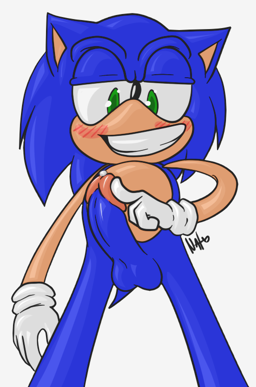 Rule34 – If it exists, there is porn of it / sonic the hedgehog / 245069