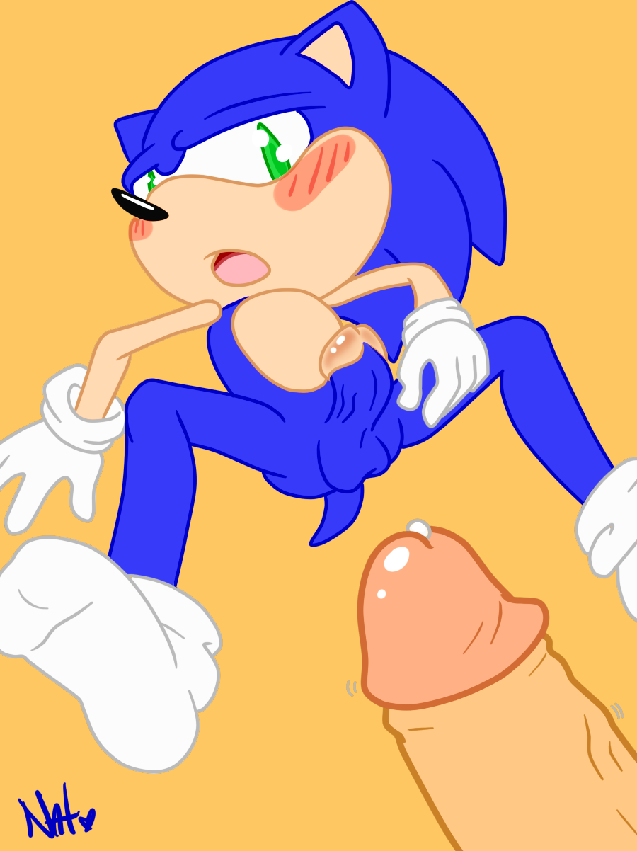 Rule34 – If it exists, there is porn of it / sonic the hedgehog / 245085