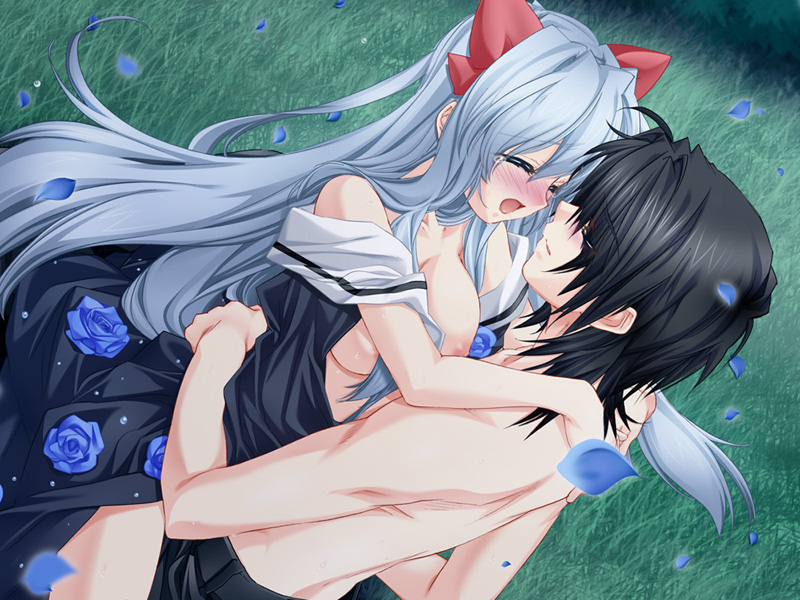 toujou sakana, ashe (under the moon), leni (under the moon), under the moon, game cg, 1boy, 1girl, black hair, blue hair, blue rose, blush, breasts, closed eyes, clothed sex, dress, flower, grass, hetero, large breasts, long hair, nipples, no bra, open clothes, open shirt, outdoors, petals, rose, sex, shirt, straddling, sweat, tears, topless male, upright straddle, white hair