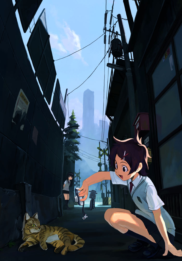 saitou atsushi (pal no komado), original, 1girl, alley, camera, cat, female focus, hair ornament, hairclip, railroad crossing, school uniform, skirt, slice of life, solo, squatting, sweater