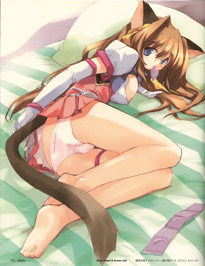 animal ears, barefoot, bed, blue eyes, brown hair, cat ears, cat tail, detached sleeves, feet, glasses, long hair, lying, mouth hold, panties, soles, tail, underwear
