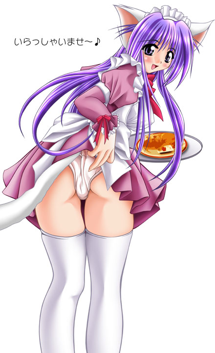 animal ears, blush, brown eyes, cat ears, cat tail, long hair, panties, purple hair, tail, thighhighs, underwear, waitress