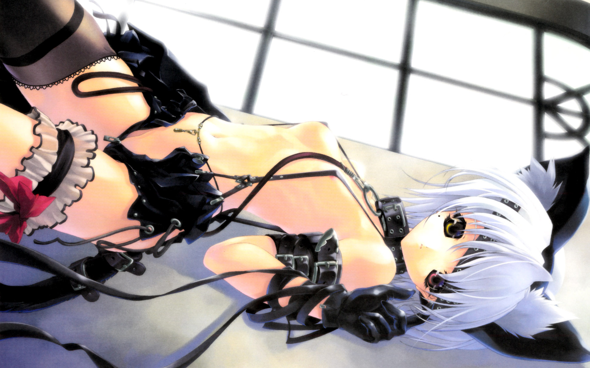 miwa yoshikazu, highres, animal ears, breasts, cat ears, cat tail, collar, looking at viewer, lying, multicolored eyes, short hair, tail, thighhighs, white hair