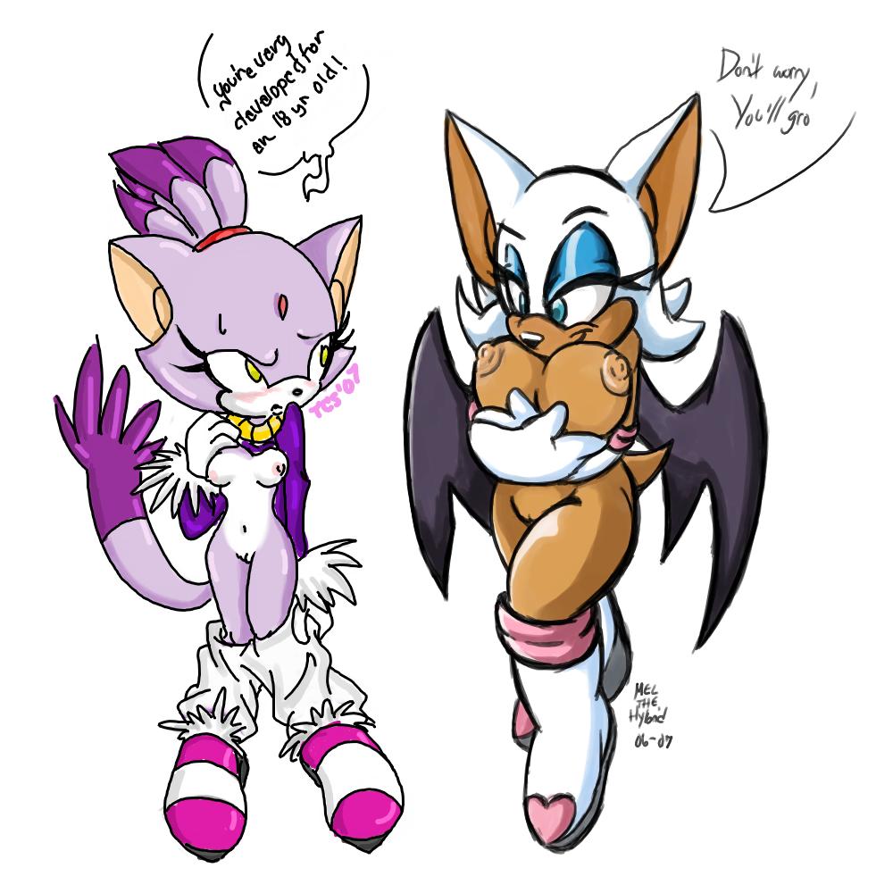 blaze the cat, rouge the bat, sonic (series), bat wings, breasts, flat chest, large breasts, tail, wings