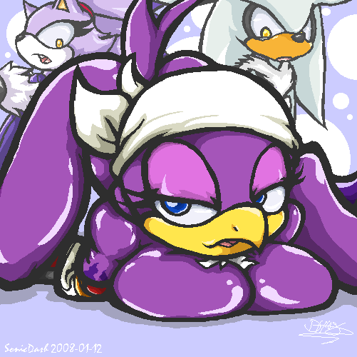 sonicdash, blaze the cat, silver the hedgehog, wave the swallow, sonic (series)