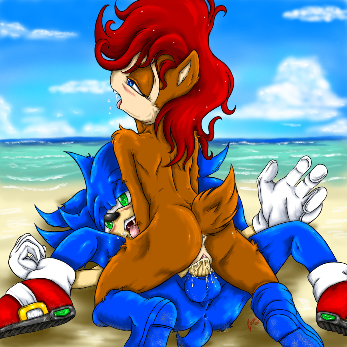 sally acorn, sonic the hedgehog, sonic (series), highres, tagme, 1boy, 1girl, beach, furry, gloves, hetero, nude, penis, pussy, sex, shoes, tail