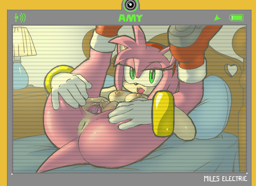 Rule34 – If it exists, there is porn of it / hotred, amy rose / 246172