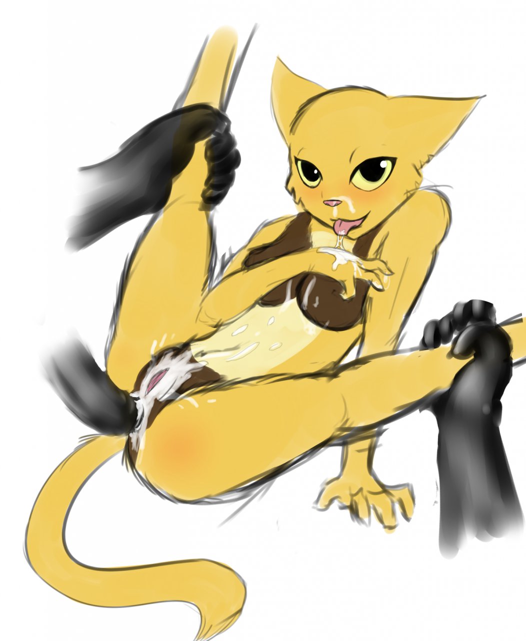 Rule34 – If it exists, there is porn of it / savoon, katia managan, khajiit / 246247