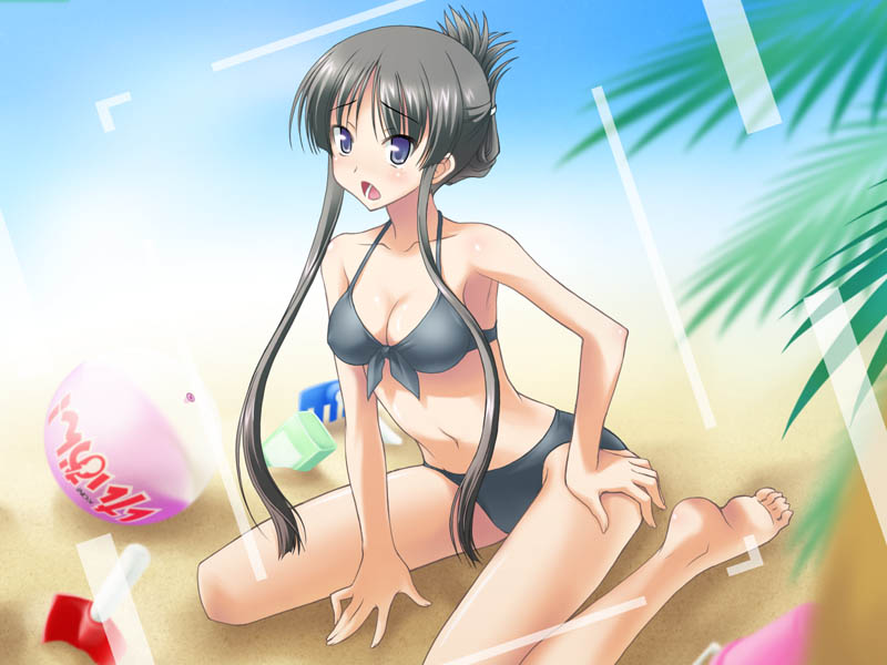 kikujin, akiyama mio, k-on!, 00s, 1girl, alternate hairstyle, armpits, barefoot, beach, bikini, black bikini, black hair, blue eyes, blush, breasts, cleavage, cloud, day, feet, female focus, long hair, navel, outdoors, photo (object), plant, sitting, sky, solo, swimsuit