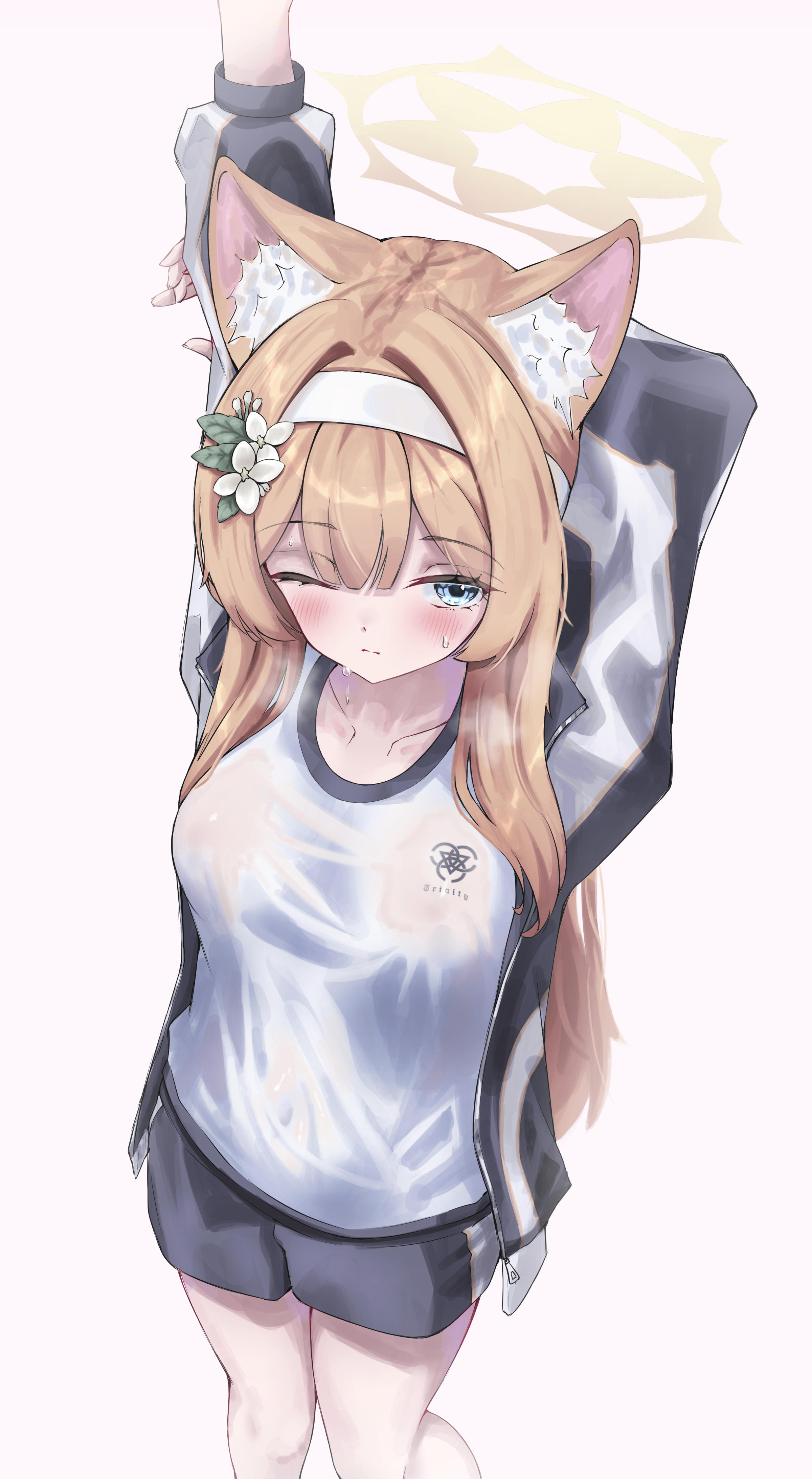 auroraescientia, mari (blue archive), mari (track) (blue archive), blue archive, absurdres, commentary, highres, 1girl, animal ear fluff, animal ears, arms behind head, arms up, black shorts, blue eyes, blunt bangs, blush, breasts, cat ears, cat girl, closed mouth, collarbone, eyelashes, feet out of frame, flower, foreshortening, from above, gym shirt, gym uniform, hair flower, hair intakes, hair ornament, hairband, jacket, leaf hair ornament, long hair, long sleeves, looking at viewer, medium breasts, official alternate costume, one eye closed, open clothes, open jacket, orange hair, see-through clothes, see-through shirt, shirt, shorts, simple background, solo, split mouth, stretching, sweat, track jacket, trinity general school logo, upturned eyes, very long hair, wet, wet clothes, wet shirt, white background, white flower, white hairband, white shirt, zipper
