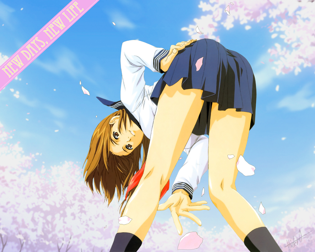 horibe hiderou, 1girl, bent over, brown eyes, brown hair, cherry blossoms, female focus, from behind, kneepits, legs, long hair, looking back, petals, school uniform, serafuku, skirt, solo, thighs