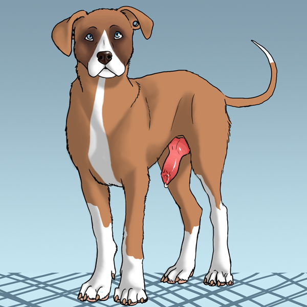 Rule34 – If it exists, there is porn of it / eriatarka / 247532