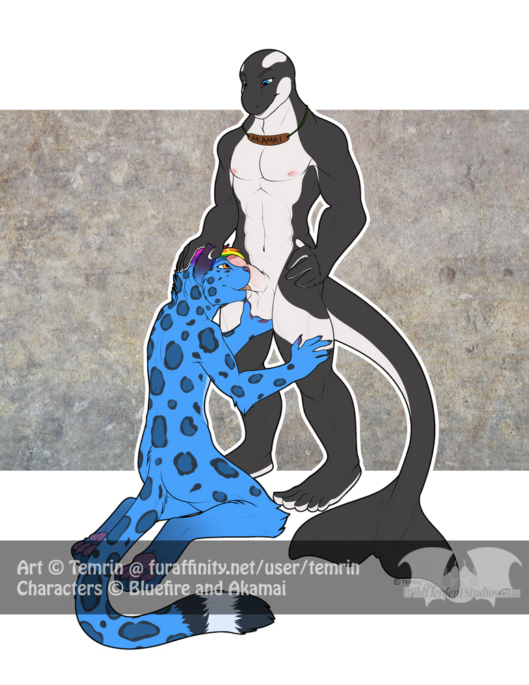 Rule34 – If it exists, there is porn of it / temrin, akamai, original character / 247583