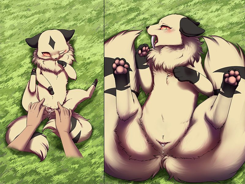 Rule34 – If it exists, there is porn of it / kirara / 247809