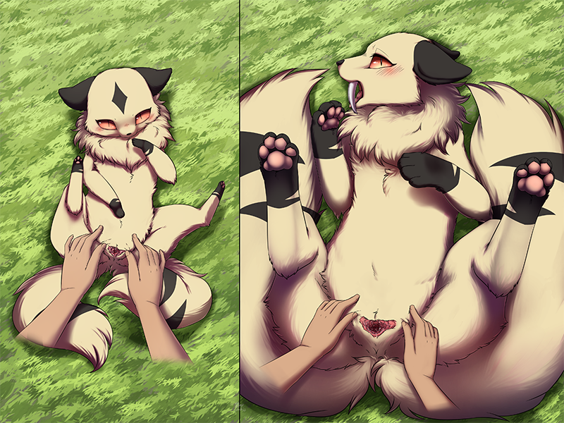 Rule34 – If it exists, there is porn of it / kirara / 247988