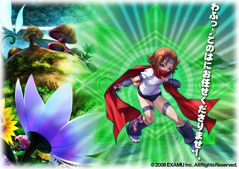 akaga hirotaka, konoha (arcana heart), aq interactive, arcana heart, atlus, examu, headband, ninja, scarf