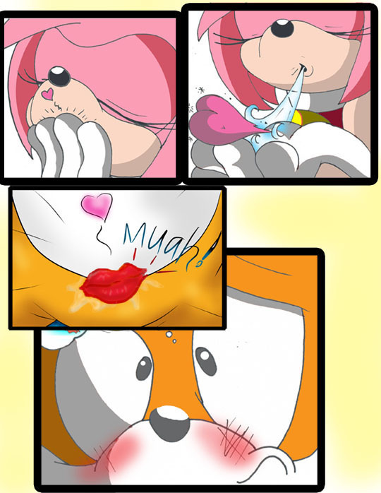 Rule34 – If it exists, there is porn of it / sammy stowes, amy rose, tails / 248105
