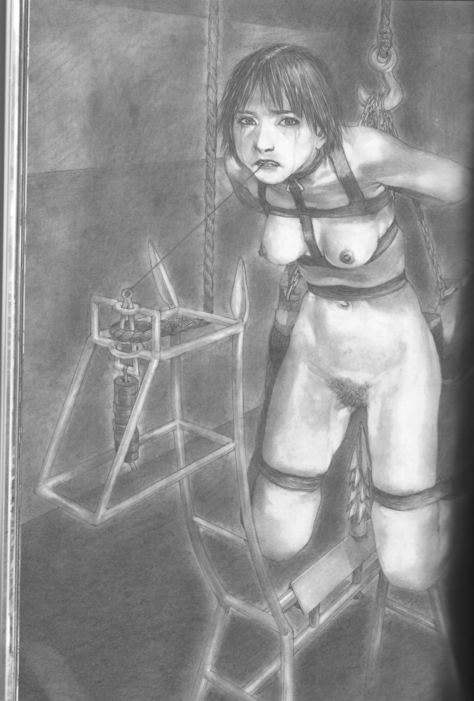 hiroaki samura, highres, 1girl, arms behind back, bad end, bdsm, bondage, bound, breasts, chain, dildo, female focus, female pubic hair, frogtie, guro, harness, hook, horse, monochrome, navel, nipples, nude, pencil, peril, predicament bondage, pubic hair, realistic, rope, short hair, solo, spiked dildo, strap, string, tears, torture, trapped, weights