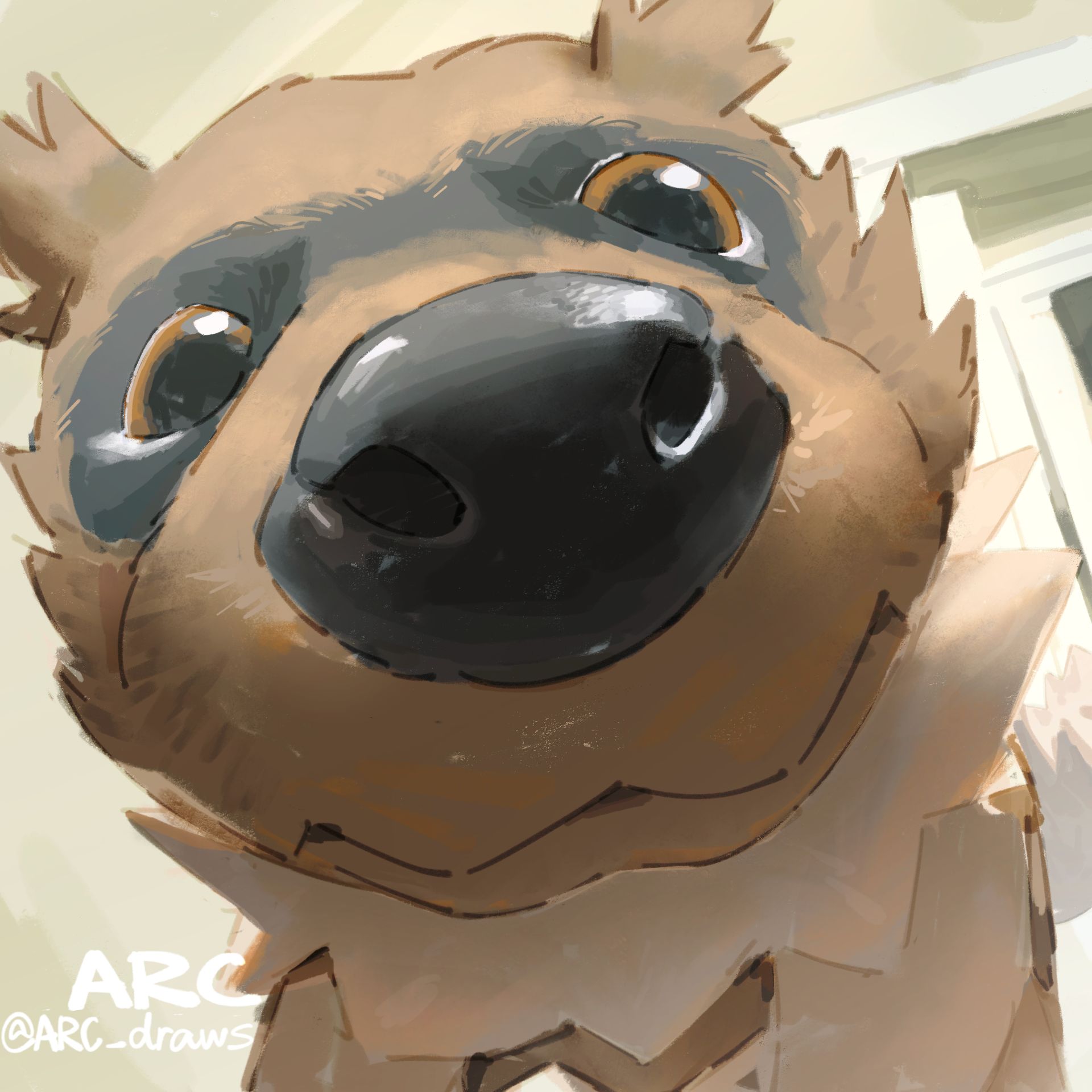 arc draws, zigzagoon, nintendo, pokemon, commentary, highres, symbol-only commentary, brown eyes, close-up, closed mouth, gen 3 pokemon, looking at viewer, looking down, no humans, pokemon (creature), pokemon focus, signature, solo, twitter username