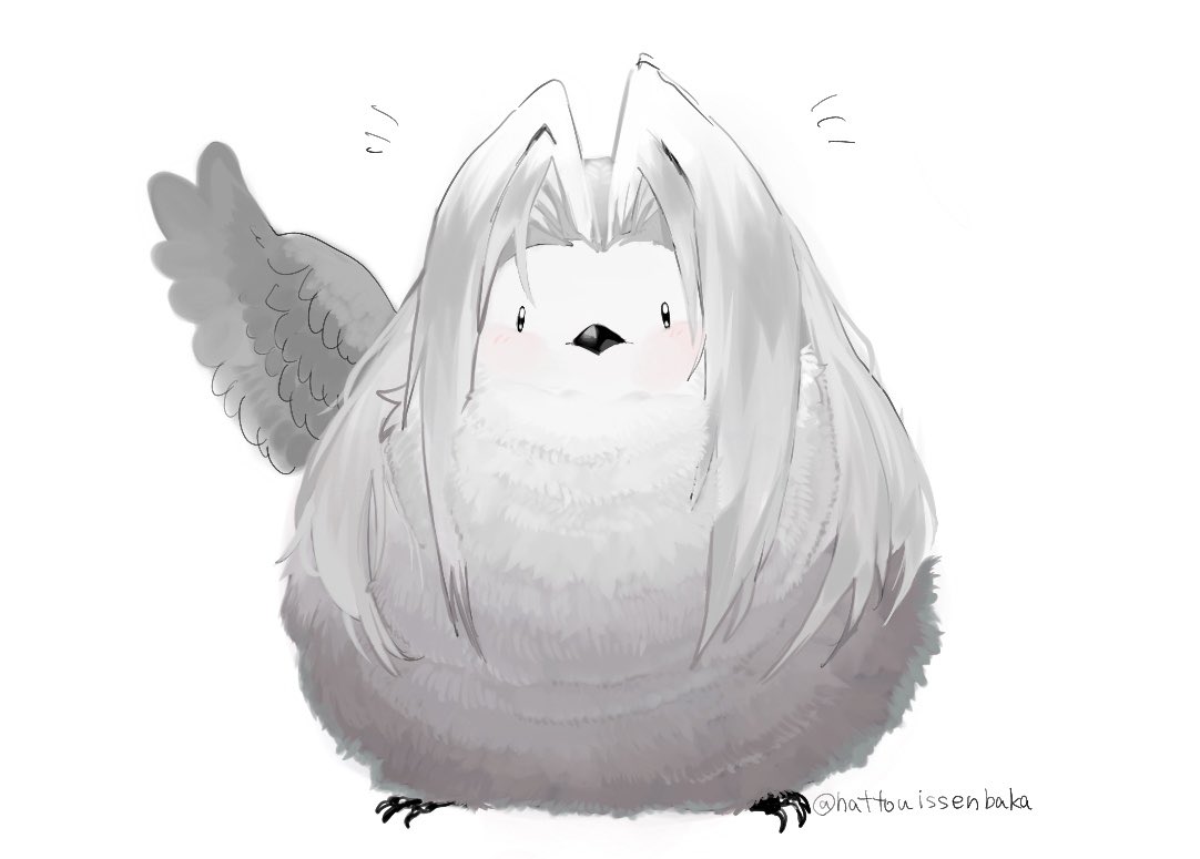 hattouissenbaka, sephiroth, final fantasy, final fantasy vii, commentary request, animal focus, animalization, bird, black eyes, feathered wings, fluffy, full body, grey bird, grey hair, hair intakes, light blush, long hair, no humans, notice lines, parted bangs, single wing, twitter username, white background, wings
