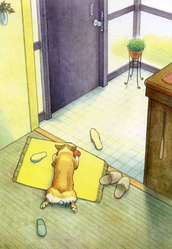 defenseku, animal focus, dog, door, from above, genkan, indoors, plant, rug, slice of life, slippers, waiting, welsh corgi
