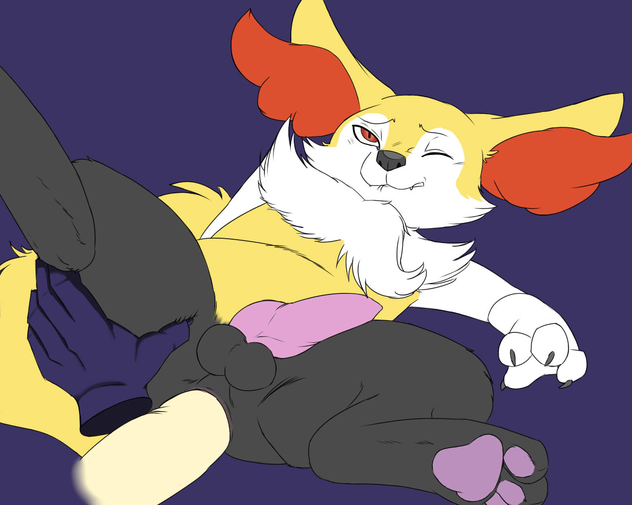 Rule34 – If it exists, there is porn of it / vidfox, braixen / 248887
