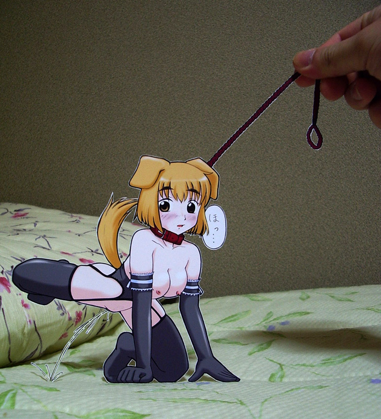 sasaki yukinojou, bad id, bad pixiv id, papercraft (medium), photo (medium), translation request, unconventional media, 1girl, all fours, animal ears, bdsm, blush, breasts, collar, dog ears, dog tail, elbow gloves, garter belt, gloves, interactive media, leash, nipples, nude, paper child, pee, peeing, pet play, solo focus, tail, thighhighs