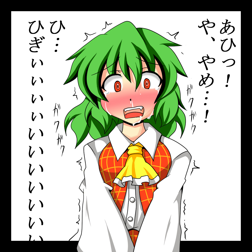 akatsu botan, kazami yuuka, touhou, translation request, 1girl, @ @, ascot, blouse, blush, border, drooling, female focus, green hair, plaid clothes, plaid skirt, plaid vest, red eyes, screaming, shirt, short hair, skirt, snot, solo, tears, trembling, v arms, vest, white background, white shirt