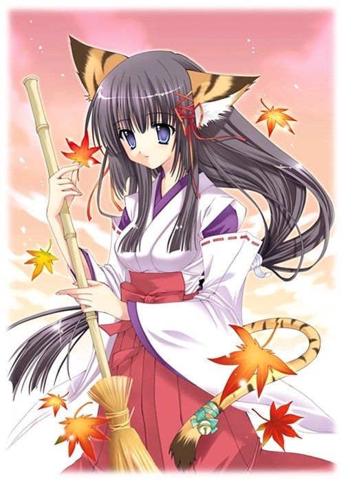 animal ears, black hair, blue eyes, broom, japanese clothes, miko, solo, tail