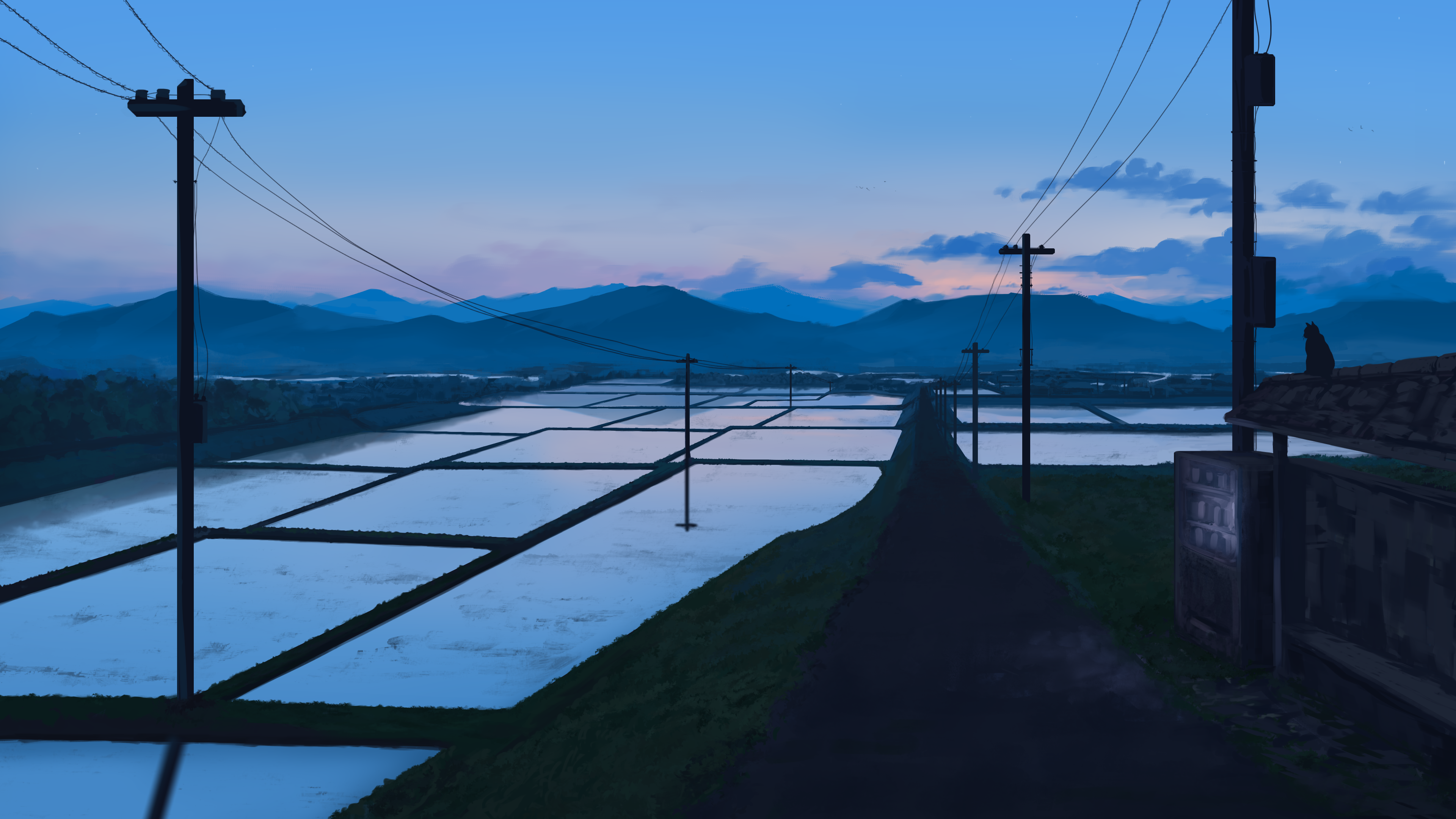 mmair, original, absurdres, commentary, english commentary, highres, animal, cat, cloud, dusk, mountainous horizon, no humans, power lines, purple eyes, reflection, reflective water, rice paddy, road, scenery, sky, utility pole, vending machine, water