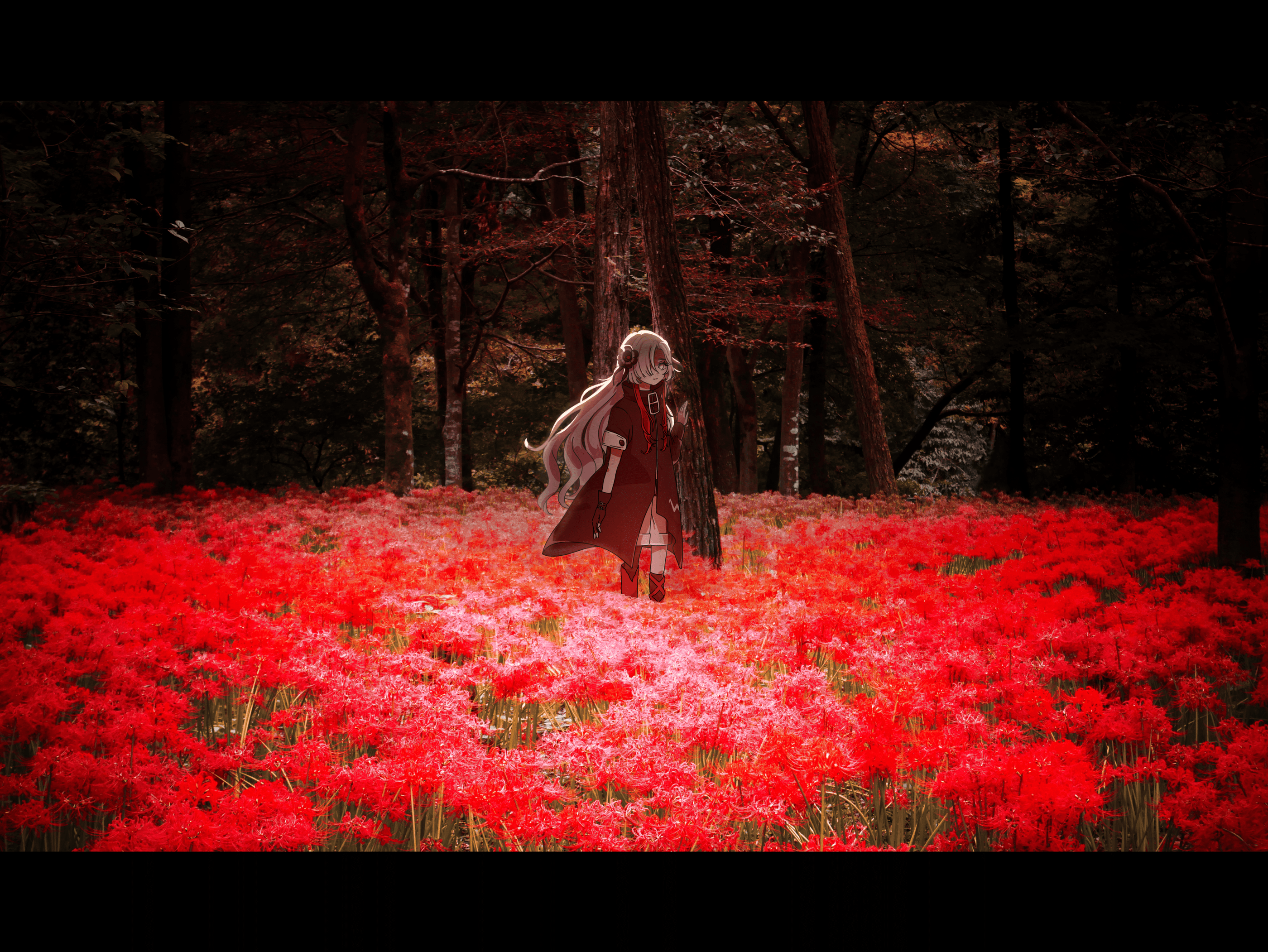 isekaijoucho, kamitsubaki studio, highres, 1girl, black coat, boots, coat, expressionless, field, flower, flower field, forest, grey eyes, grey hair, hair over one eye, letterboxed, long hair, mohe onpu, multicolored hair, nature, photo background, red hair, shorts, solo, spider lily, two-tone hair, very long hair
