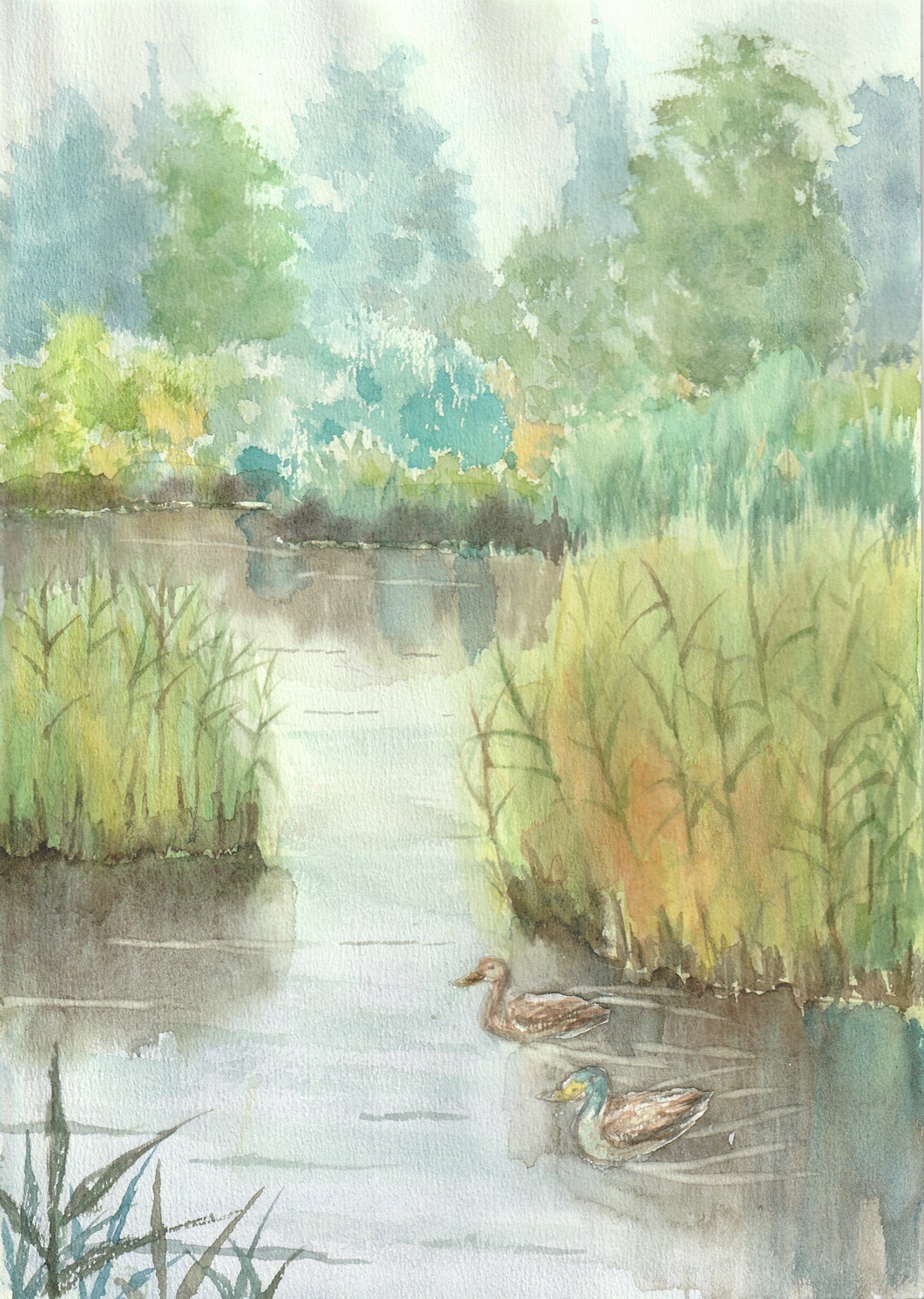 paruperu, original, commentary request, highres, painting (medium), traditional media, watercolor (medium), animal, bird, day, duck, grass, nature, no humans, outdoors, pond, scenery, tree, water