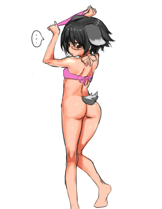 rokuichi, original, 1girl, animal ears, ass, barefoot, bikini, bottomless, dog ears, female focus, glasses, legs, pink bikini, sketch, solo, swimsuit, tail, unworn bikini bottom