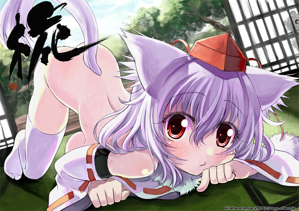kitahara tomoe (kitahara koubou), inubashiri momiji, touhou, silver hair, bad id, bad pixiv id, 1girl, all fours, animal ears, blush, detached sleeves, dutch angle, female focus, hat, nude, red eyes, short hair, solo, staring, tail, thighhighs, tokin hat, top-down bottom-up, white thighhighs, wolf ears, wolf tail