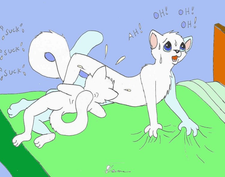 Rule34 – If it exists, there is porn of it / mike sherman / 250242