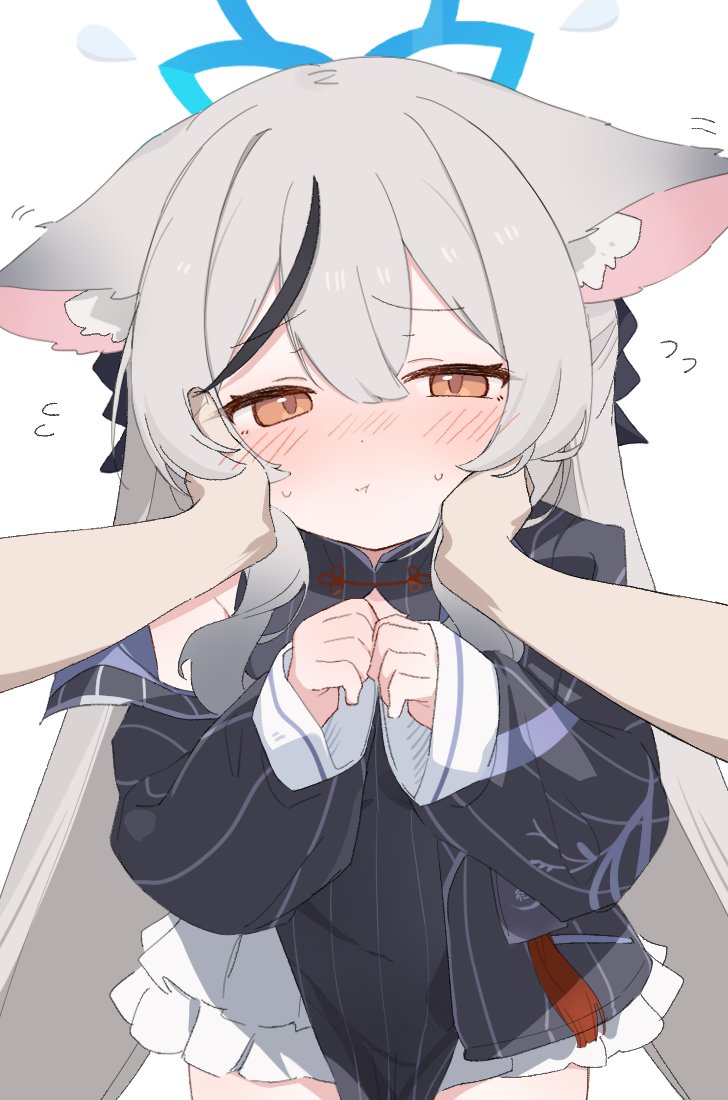 tntl nemui, kokona (blue archive), blue archive, animal ear fluff, animal ears, black dress, black ribbon, black streaks, blue halo, blush, brown eyes, cheek squash, china dress, chinese clothes, closed mouth, clothing cutout, collared dress, cowboy shot, diamond cutout, dot nose, dress, ears down, embarrassed, flying sweatdrops, frilled dress, frills, grey hair, hair between eyes, hair ribbon, halo, hands on another's cheeks, hands on another's face, hands up, jacket, long hair, long sleeves, looking at viewer, multicolored hair, narrowed eyes, pelvic curtain, pov, pov hands, raised inner eyebrows, ribbon, sidelocks, simple background, single bare shoulder, single off shoulder, sleeveless, sleeveless dress, streaked hair, striped clothes, striped dress, striped jacket, sweatdrop, tiger ears, tiger girl, two-tone hair, vertical-striped clothes, vertical-striped dress, vertical-striped jacket, very long hair, white background
