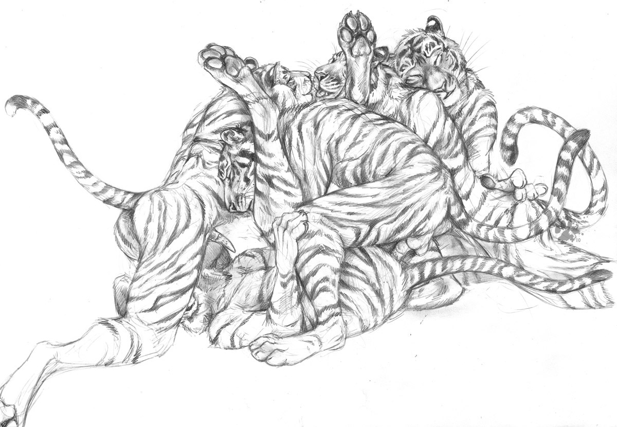 Rule34 – If it exists, there is porn of it / blotch / 250686