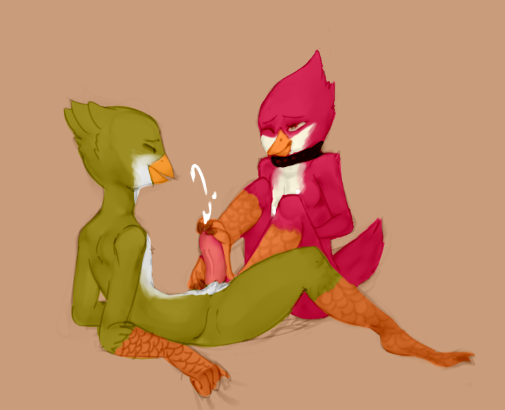 Rule34 – If it exists, there is porn of it / phallusbro, avian (starbound) / 251059