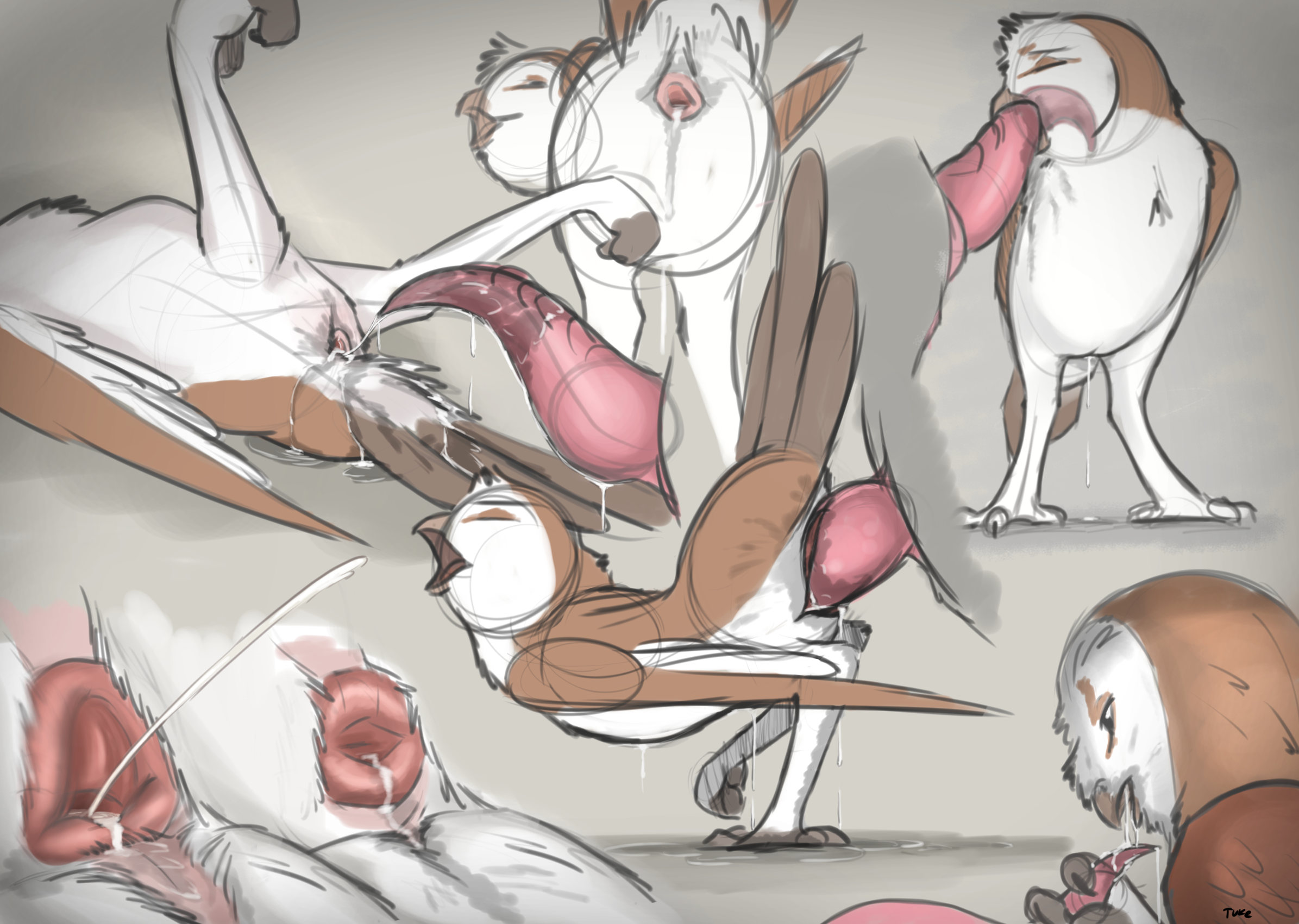 Rule34 – If it exists, there is porn of it / tuke / 251102