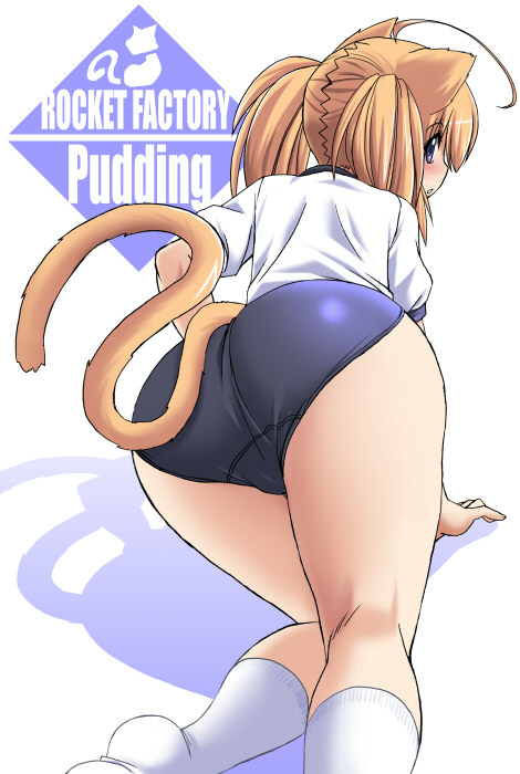 tonpuu, pudding (tonpuu), original, 1girl, ahoge, animal ears, ass, back, blush, brown hair, buruma, female focus, gym uniform, kneepits, looking at viewer, looking back, shirt, short sleeves, socks, solo, tail, thighs, twintails, white background, white shirt, white socks