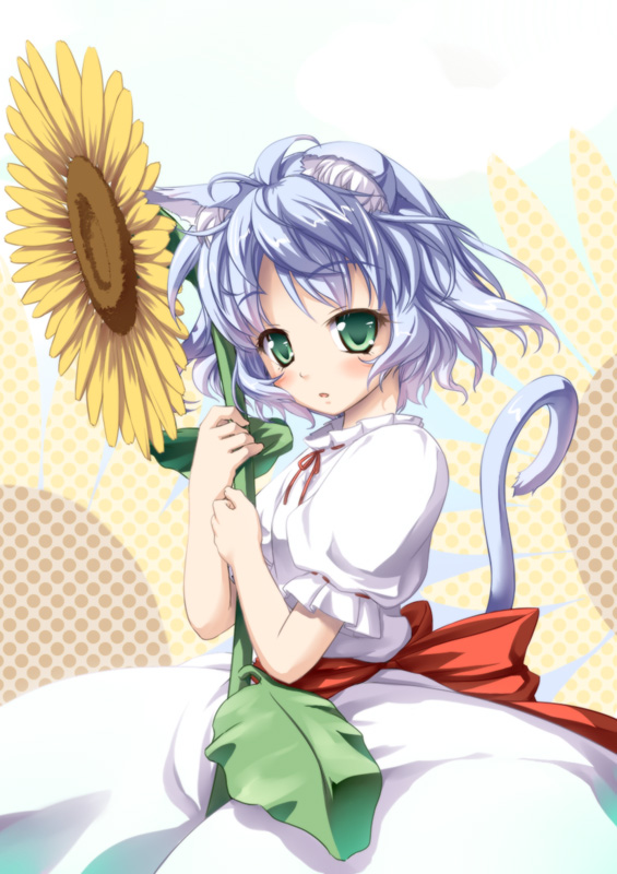 kazami haruki, original, animal ears, cat ears, cat girl, cat tail, cowboy shot, flower, from side, solo, sunflower, surprised, tail