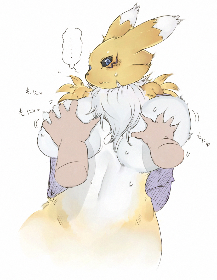 sindoll, renamon, digimon, blue eyes, blush, breasts, digimon (creature), furry, grabbing another's breast, groping, pov, sweat