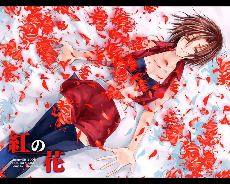 norihe, meiko (vocaloid), vocaloid, bad id, bad pixiv id, 1girl, breasts, brown eyes, brown hair, cleavage, female focus, flower, large breasts, letterboxed, midriff, navel, petals, short hair, solo, thighhighs